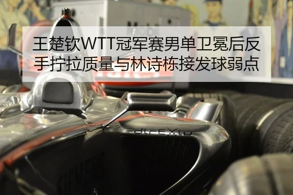 王楚钦WTT冠军赛男单卫冕后反手拧拉质量与林诗栋接发球弱点